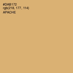 #DAB172 - Apache Color Image