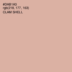 #DAB1A3 - Clam Shell Color Image