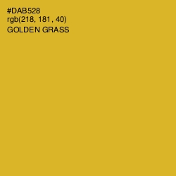 #DAB528 - Golden Grass Color Image