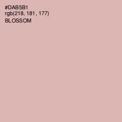 #DAB5B1 - Blossom Color Image