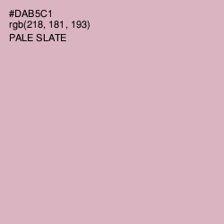 #DAB5C1 - Pale Slate Color Image