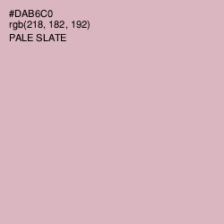 #DAB6C0 - Pale Slate Color Image