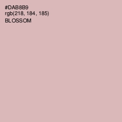 #DAB8B9 - Blossom Color Image