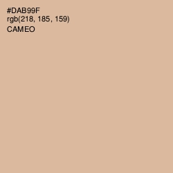 #DAB99F - Cameo Color Image