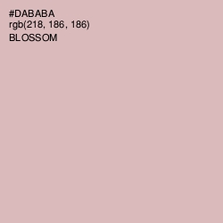 #DABABA - Blossom Color Image
