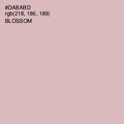 #DABABD - Blossom Color Image