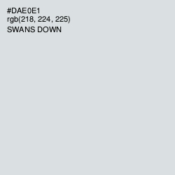 #DAE0E1 - Swans Down Color Image