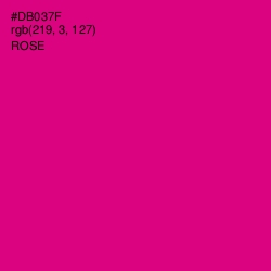 #DB037F - Rose Color Image