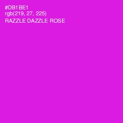 #DB1BE1 - Razzle Dazzle Rose Color Image