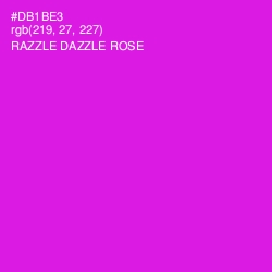 #DB1BE3 - Razzle Dazzle Rose Color Image