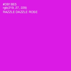 #DB1BE5 - Razzle Dazzle Rose Color Image