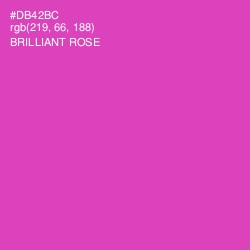#DB42BC - Brilliant Rose Color Image