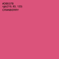 #DB537B - Cranberry Color Image