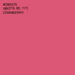 #DB5575 - Cranberry Color Image