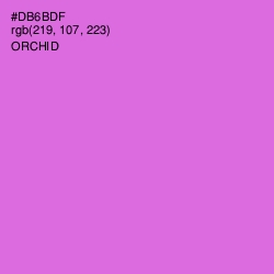 #DB6BDF - Orchid Color Image