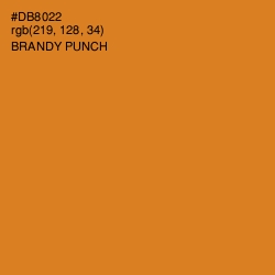 #DB8022 - Brandy Punch Color Image