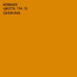 #DB8603 - Geebung Color Image