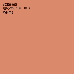 #DB896B - Copperfield Color Image