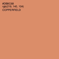 #DB8C68 - Copperfield Color Image