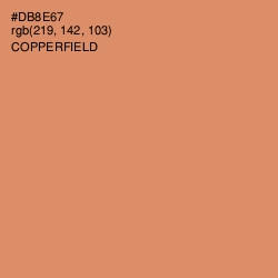 #DB8E67 - Copperfield Color Image