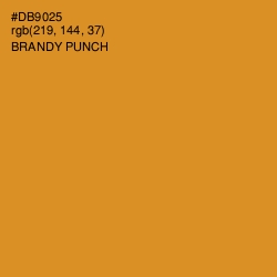 #DB9025 - Brandy Punch Color Image