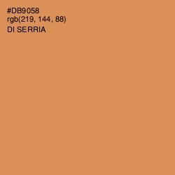 #DB9058 - Di Serria Color Image