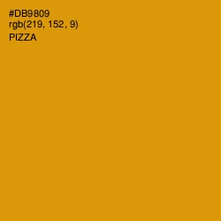 #DB9809 - Pizza Color Image