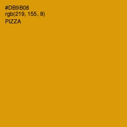 #DB9B08 - Pizza Color Image