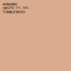 #DBAB8D - Tumbleweed Color Image