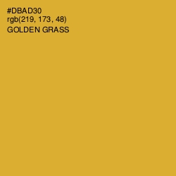 #DBAD30 - Golden Grass Color Image
