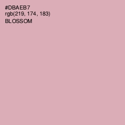 #DBAEB7 - Blossom Color Image