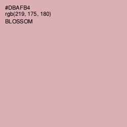 #DBAFB4 - Blossom Color Image
