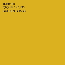 #DBB120 - Golden Grass Color Image