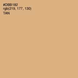#DBB182 - Tan Color Image