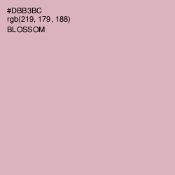 #DBB3BC - Blossom Color Image