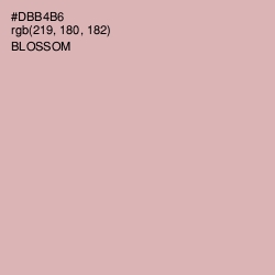 #DBB4B6 - Blossom Color Image