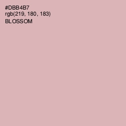 #DBB4B7 - Blossom Color Image