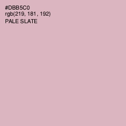 #DBB5C0 - Pale Slate Color Image