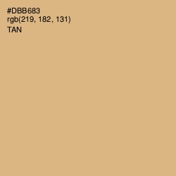 #DBB683 - Tan Color Image