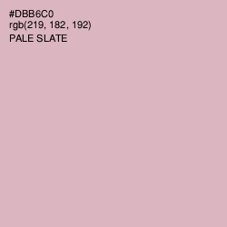#DBB6C0 - Pale Slate Color Image