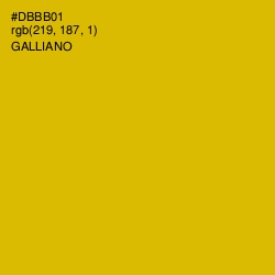 #DBBB01 - Galliano Color Image