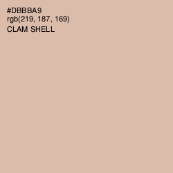#DBBBA9 - Clam Shell Color Image