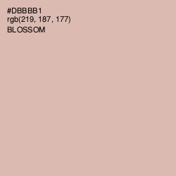 #DBBBB1 - Blossom Color Image