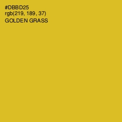 #DBBD25 - Golden Grass Color Image