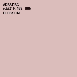 #DBBDBC - Blossom Color Image