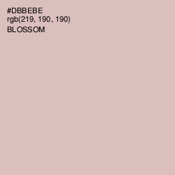 #DBBEBE - Blossom Color Image
