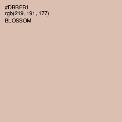 #DBBFB1 - Blossom Color Image