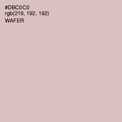 #DBC0C0 - Wafer Color Image