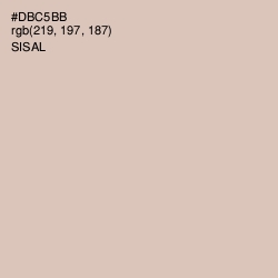 #DBC5BB - Sisal Color Image