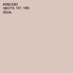 #DBC5BD - Sisal Color Image